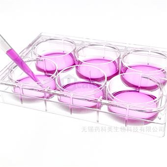 C15066孔细胞培养板未TC处理灭菌吸塑独立盒装