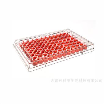 C109696孔细胞培养板TC处理灭菌吸塑独立盒装