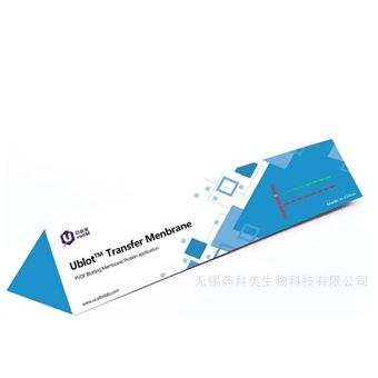 W3F21U-Blot® PVDF 印迹膜（0.2 μm）